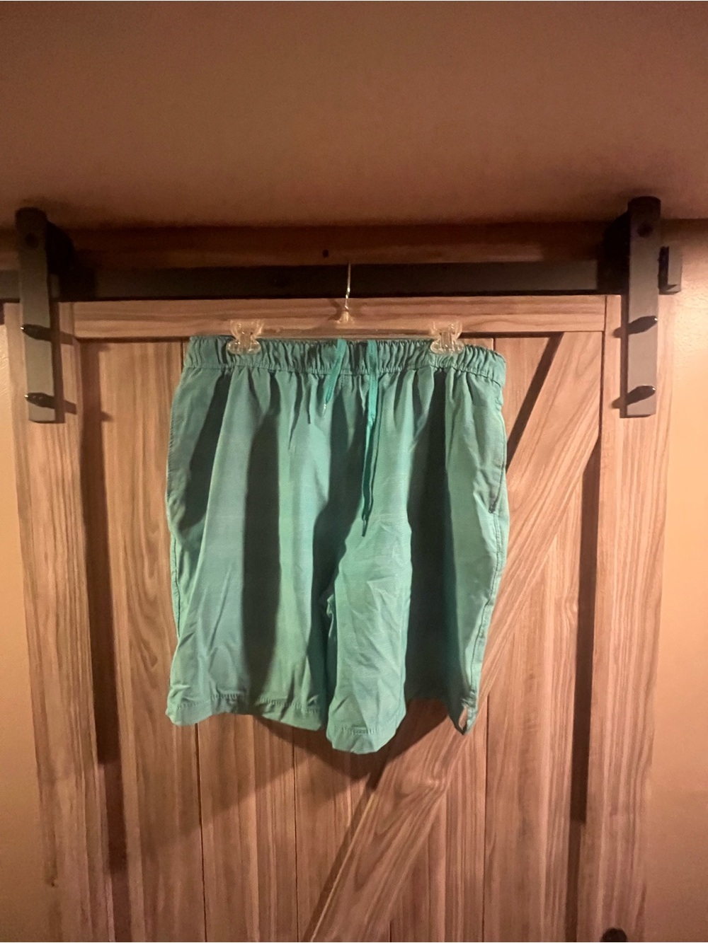 Speedo Men's Lined Swim Trunks